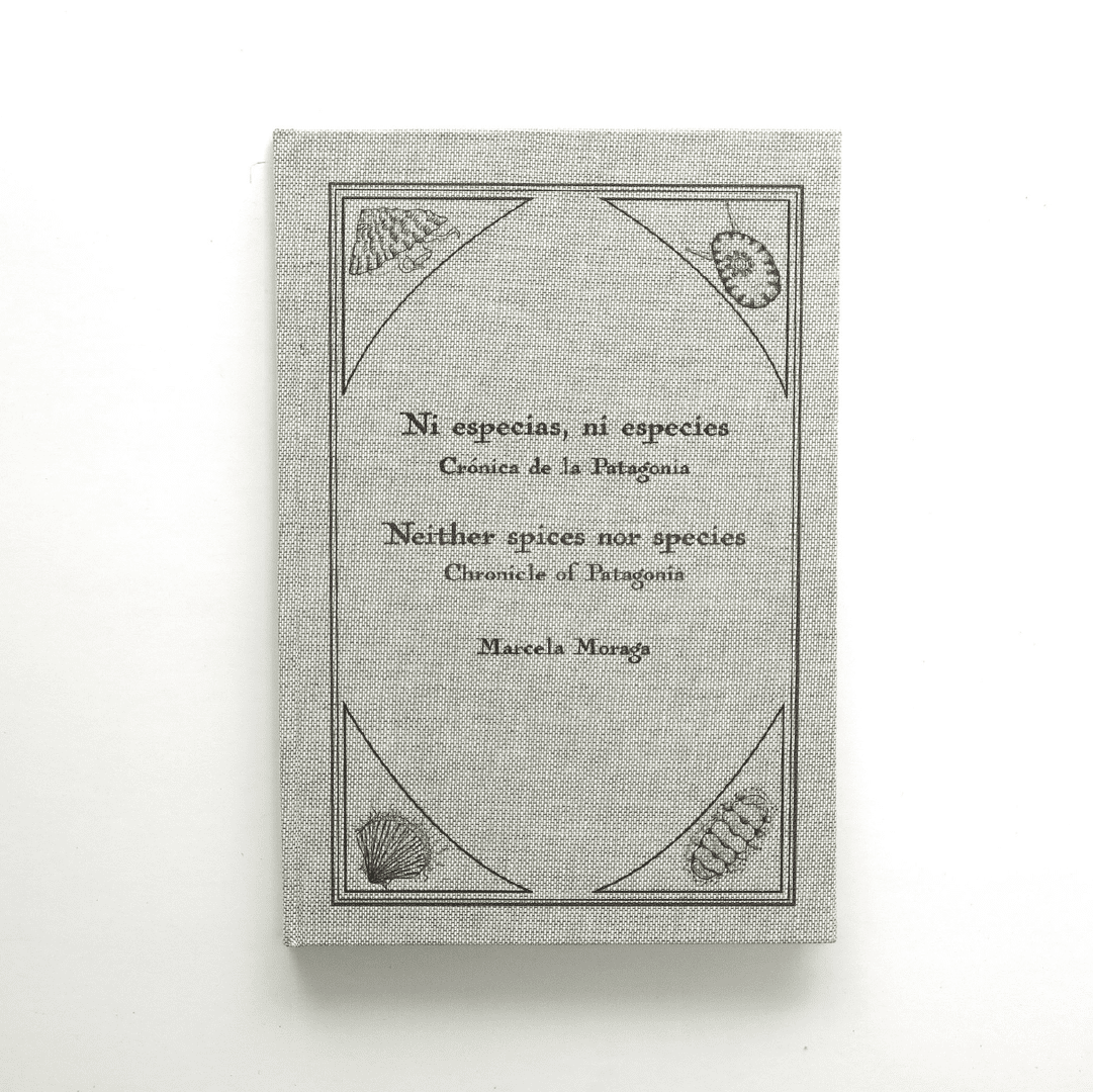 portada 24
